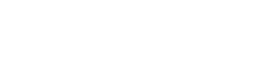 Logo Nesta Shipping